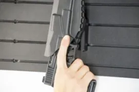 qls holster mount