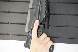 qls holster mount