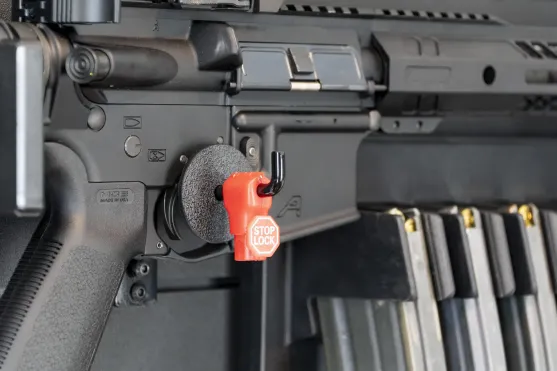 ModWall Magnetic Weapon Lock Modwall Hook Gun Lock