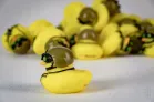 Tactical Walls™ Tactical Rubber Duck Tactical Walls Tactical Rubber Duck